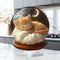 Boho-Chic Acrylic Cat Snow Globe Decor - Dreamy Kitten Under Moonlight, Perfect for Home, Office & Cafe Display, Ideal Gift